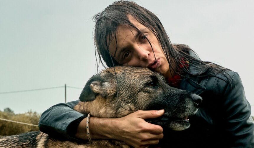 Lucio Corsi e il nuovo album: "Sono sempre lo stesso, resto coi piedi per terra" 1