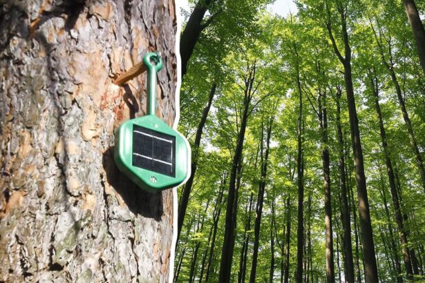 Nasi artificiali sugli alberi: come riescono a fiutare gli incendi? 9