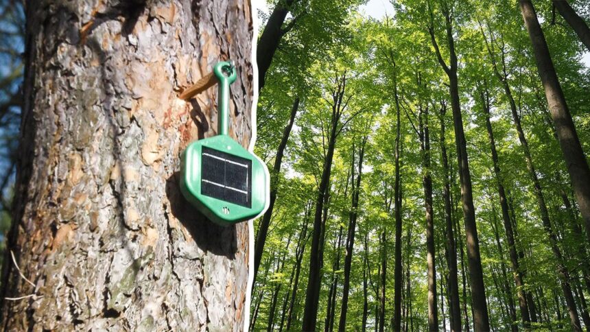 Nasi artificiali sugli alberi: come riescono a fiutare gli incendi? 1