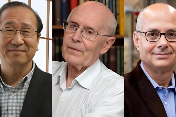 Nobel per la Chimica a Kitagawa, Robson e Yaghi: "Grazie a loro si potrà estrarre l'acqua dall'aria" 15