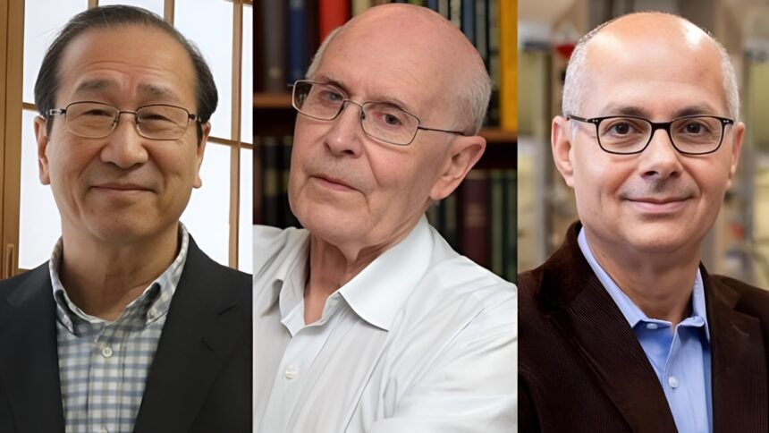 Nobel per la Chimica a Kitagawa, Robson e Yaghi: "Grazie a loro si potrà estrarre l'acqua dall'aria" 1