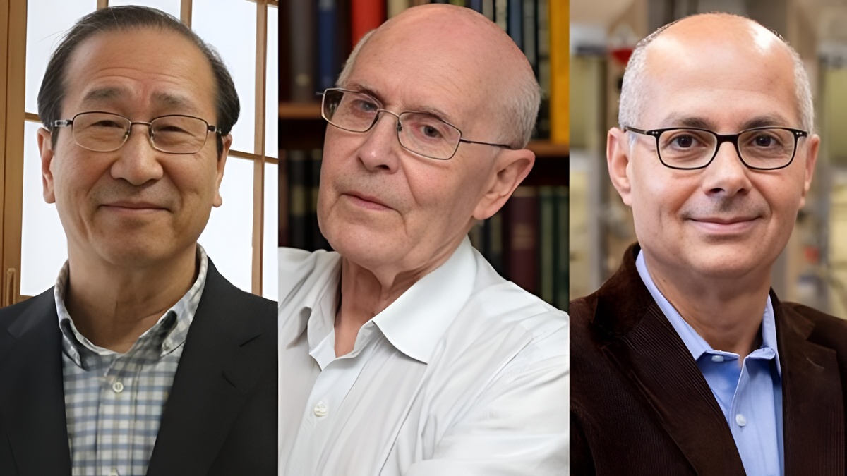 Nobel per la Chimica a Kitagawa, Robson e Yaghi: "Grazie a loro si potrà estrarre l'acqua dall'aria" 17