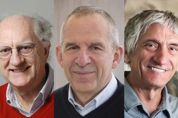 Nobel per la Fisica a Clarke, Devoret e Martinis: "Arriva la rivoluzione della quantistica" 5