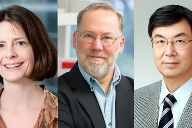 Nobel per la Medicina a Brunkow, Ramsdell e Sakaguchi: "Nuove cure per malattie autoimmuni" 9