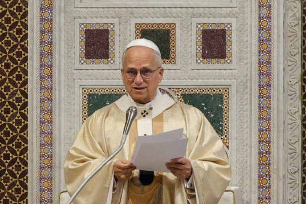 Papa Leone convoca il suo primo Concistoro: "Lavoriamo per crescere insieme" 9