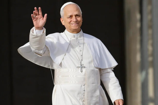 I punti chiave del Pontificato di Papa Leone: dal cammino sinodale al digitale 16