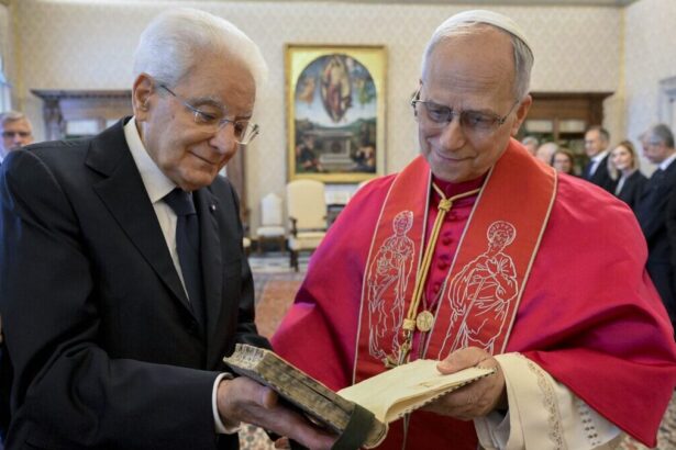 Papa Leone in Quirinale da Mattarella: qual è il loro piano per la pace? 19
