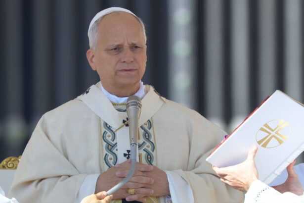 Papa Leone proclama 7 nuovi santi: "Non eroi, ma uomini e donne autentici" 14