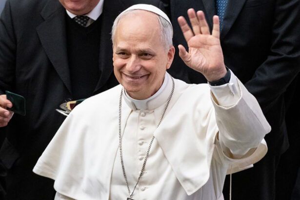 Leone XIV è su Instagram: “Pontifex" ha già 12 milioni di follower 14