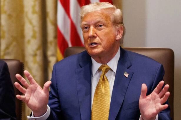 Il piano di Trump per portare la pace in Ucraina: di cosa trattano i 28 punti 63