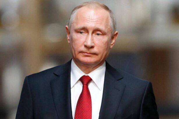 Le condizioni per la pace di Putin: l'Ucraina avrà un Governo provvisorio? 14