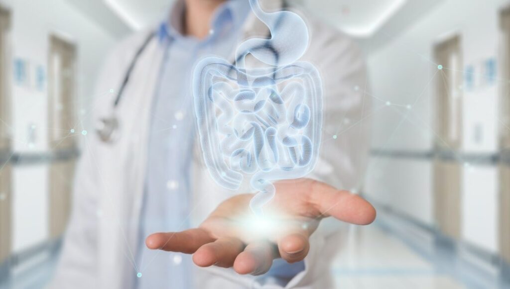 Microbiota intestinale: prendersene cura è un investimento sulla salute 3 microbiota intestinale