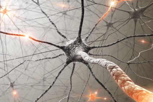 Rivoluzione sclerosi multipla, un biomarcatore rivela i segnali invisibili 15