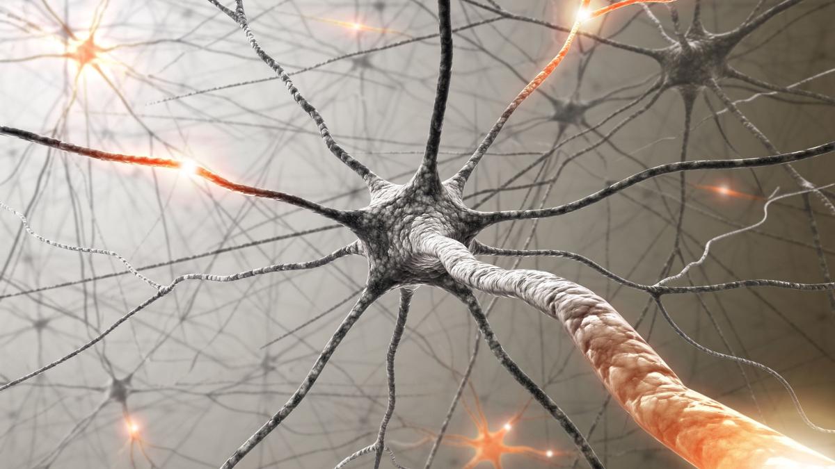 Rivoluzione sclerosi multipla, un biomarcatore rivela i segnali invisibili 19