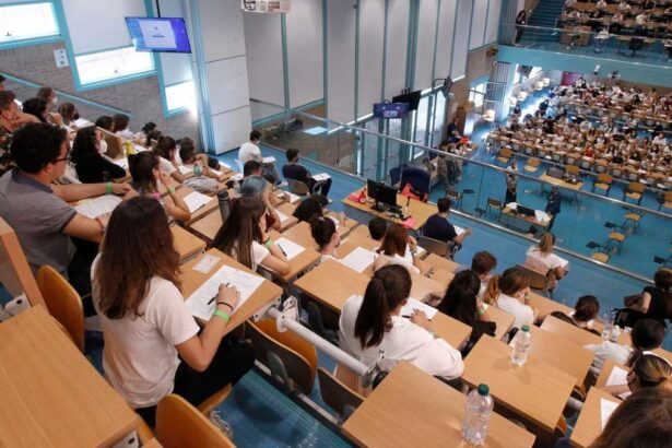Test di medicina 2025, stop all'esame di ammissione e primo semestre libero 10