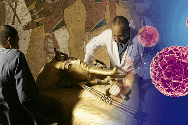 Nella tomba "maledetta" di Tutankhamon trovato un fungo che combatte la leucemia 13
