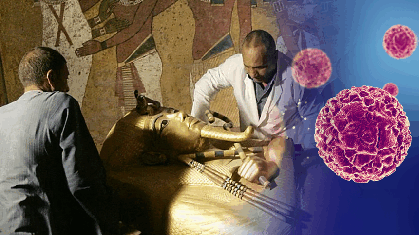 Nella tomba "maledetta" di Tutankhamon trovato un fungo che combatte la leucemia 1