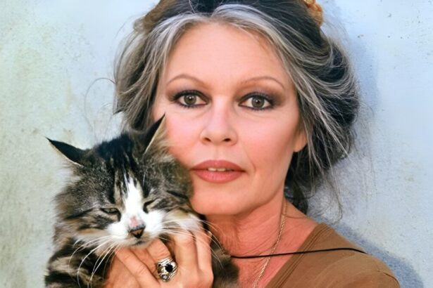 Brigitte Bardot, un'eredità da 65 milioni divisa tra la Fondazione animalista e il figlio Nicolas 9