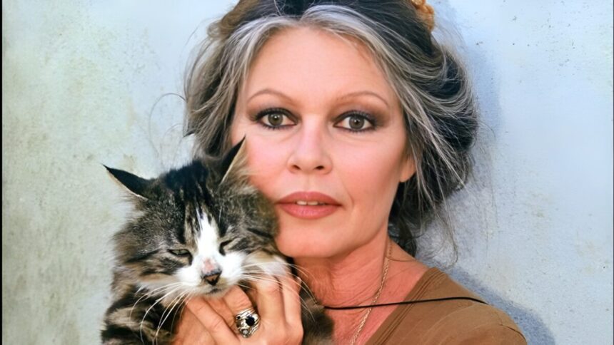 Brigitte Bardot, un'eredità da 65 milioni divisa tra la Fondazione animalista e il figlio Nicolas 1