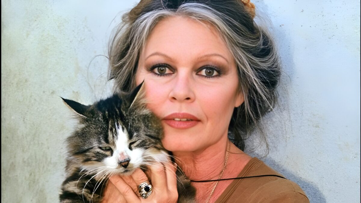 Brigitte Bardot, un'eredità da 65 milioni divisa tra la Fondazione animalista e il figlio Nicolas 13