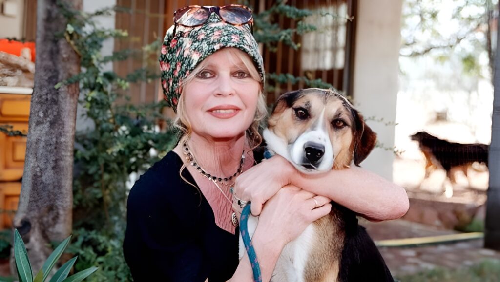 Brigitte Bardot, un'eredità da 65 milioni divisa tra la Fondazione animalista e il figlio Nicolas 3