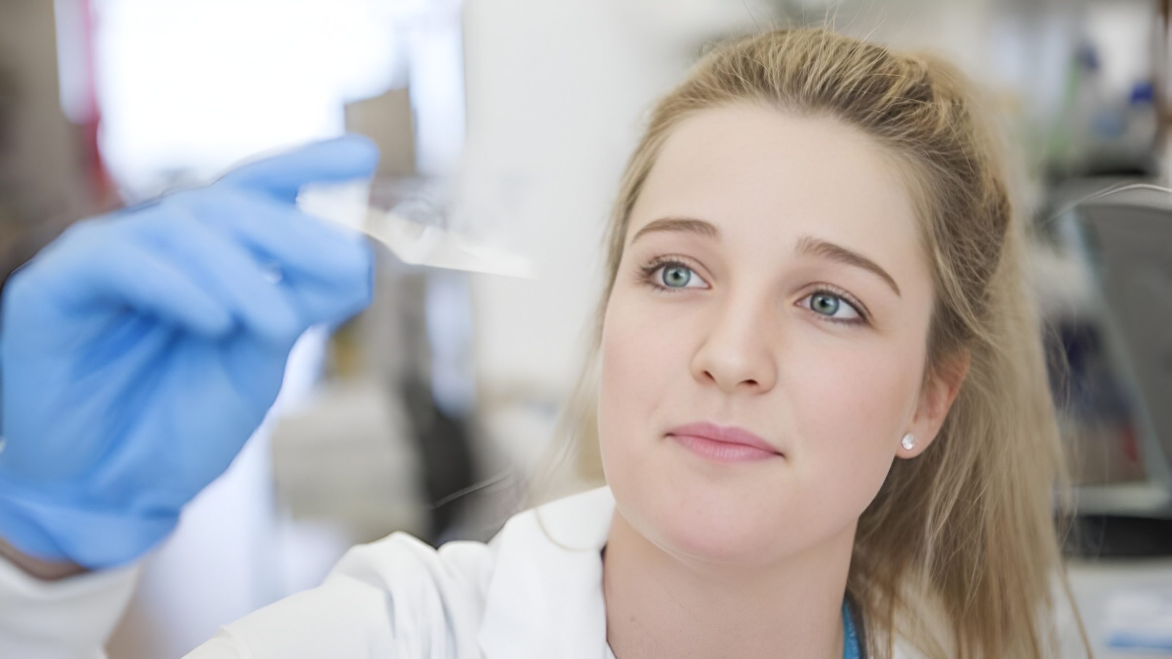 ciara duffy veleno d'ape