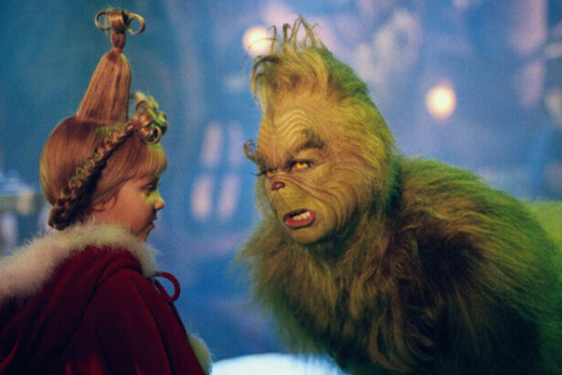 A Natale ritorna il Grinch: la vera storia e il lato umano dell'iconico personaggio 51