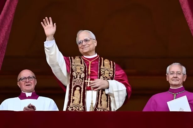 Un nuovo Papa, la pace a Gaza, le manifestazioni: cosa ricorderemo del 2025 19