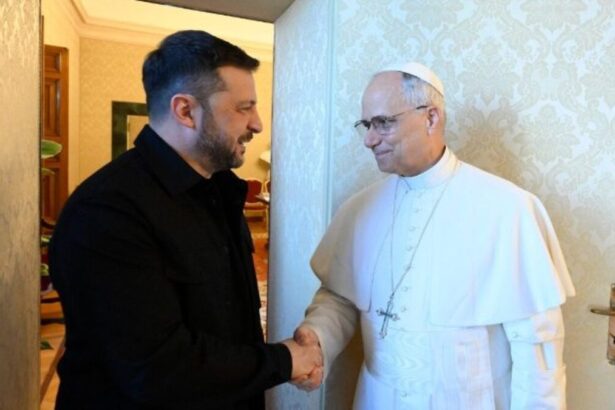 Papa Leone incontra ancora Zelensky: "Proseguiamo il dialogo per una pace duratura" 42