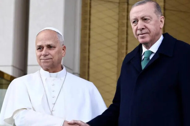Incontro tra Papa Leone ed Erdogan: "Cooperiamo per costruire un mondo migliore" 78