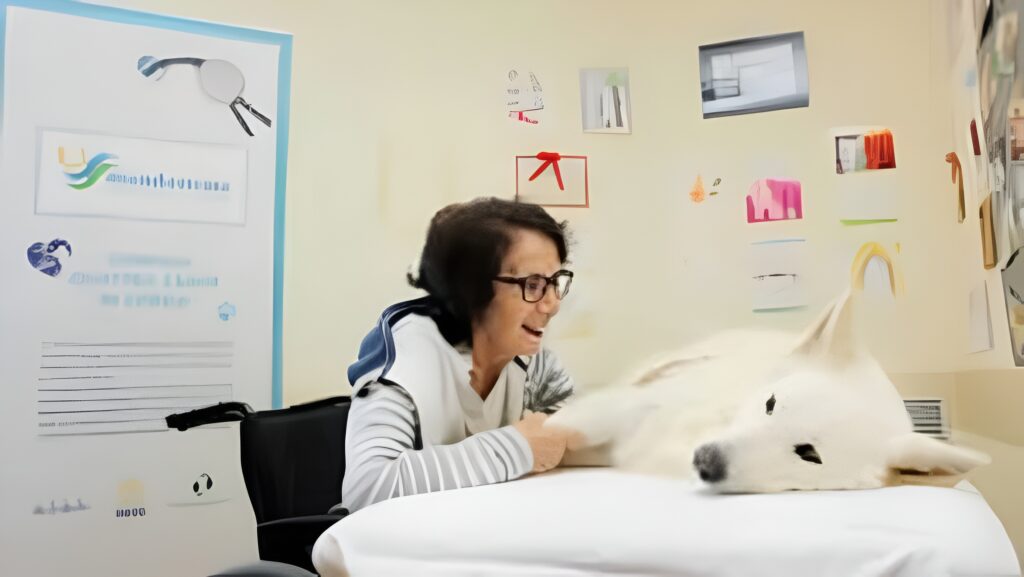 Pet therapy, salute mentale e migliore assistenza ai pazienti: il progetto 3