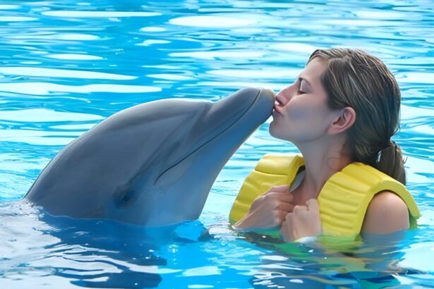 Più si è amici, meno si invecchia: quello che abbiamo da imparare dai delfini 7