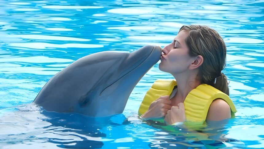 Più si è amici, meno si invecchia: quello che abbiamo da imparare dai delfini 2 Più si è amici, meno si invecchia: quello che abbiamo da imparare dai delfini 1