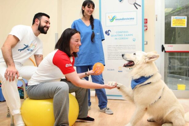 Pet therapy, salute mentale e migliore assistenza ai pazienti: il progetto 20