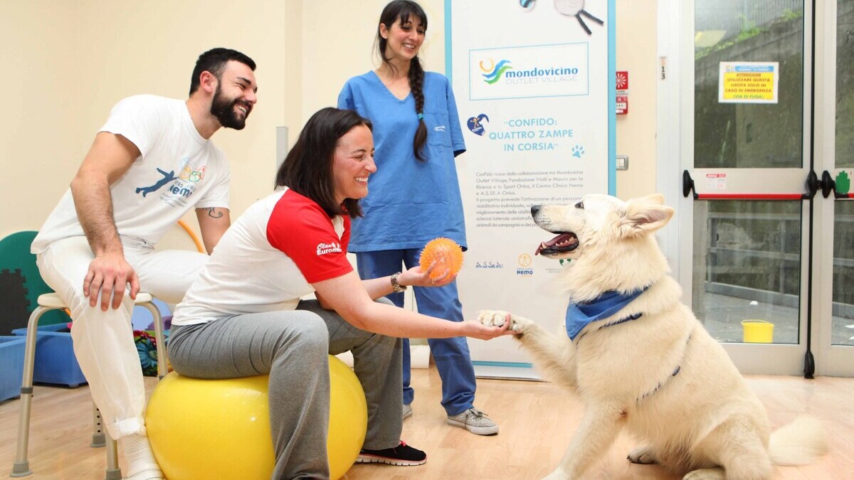 Pet therapy, salute mentale e migliore assistenza ai pazienti: il progetto 19