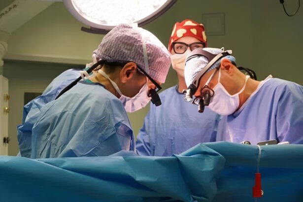 trapianto papà figlia