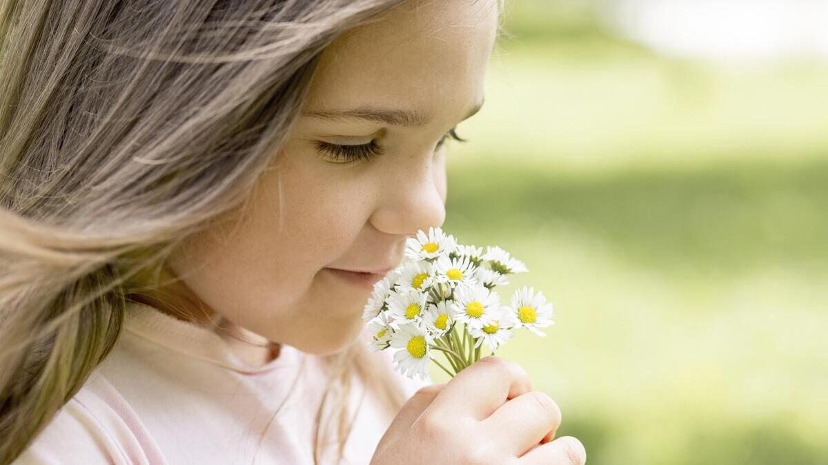 Raffreddore e rinite nei bambini: come riconoscere un'infezione virale da un'allergia 3