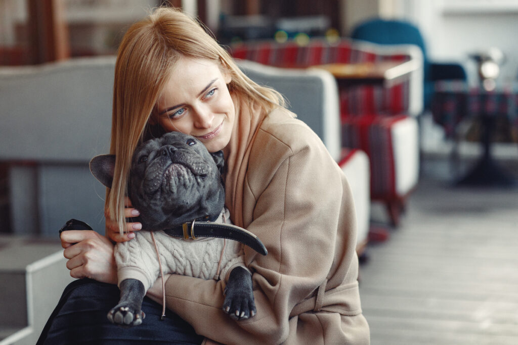 Norme per viaggiare con animali