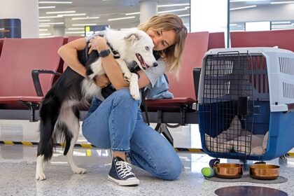 nuove norme per viaggiare con gli animali