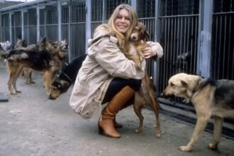 brigitte bardot