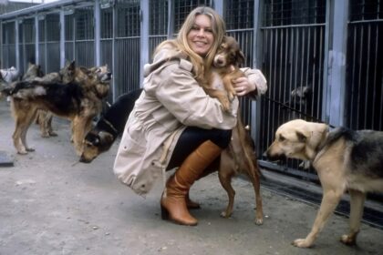 brigitte bardot