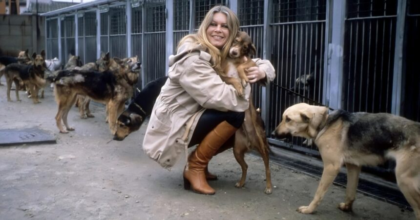 brigitte bardot