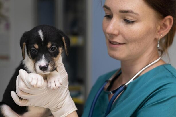 farmaco tumori cani