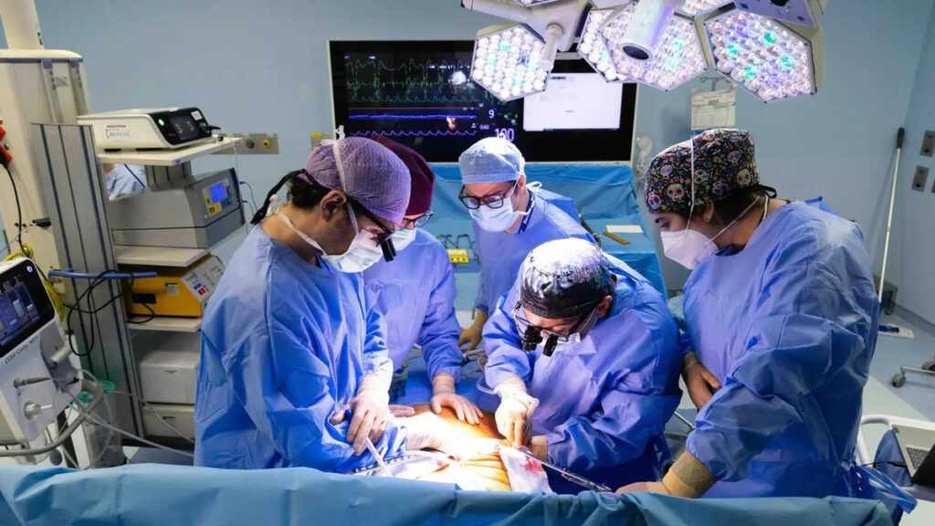 Tumore al colon, nuove speranze per il trapianto: parte da Bologna il maxi-progetto europeo 2 Tumore colon-retto