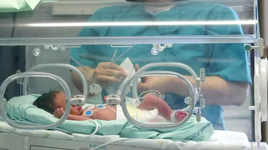 Nata di soli 600 grammi, si laurea con una tesi sui bimbi prematuri: "Grazie al reparto che mi ha permesso di essere qui" 2 Tesi 600 grammi