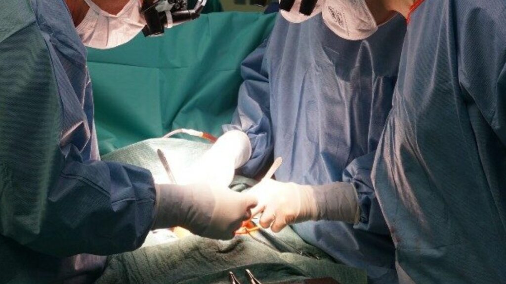 Bimba torna a camminare dopo aver perso l'uso delle gambe in un incidente: le cure al Gaslini 2 Bimba torna a camminare