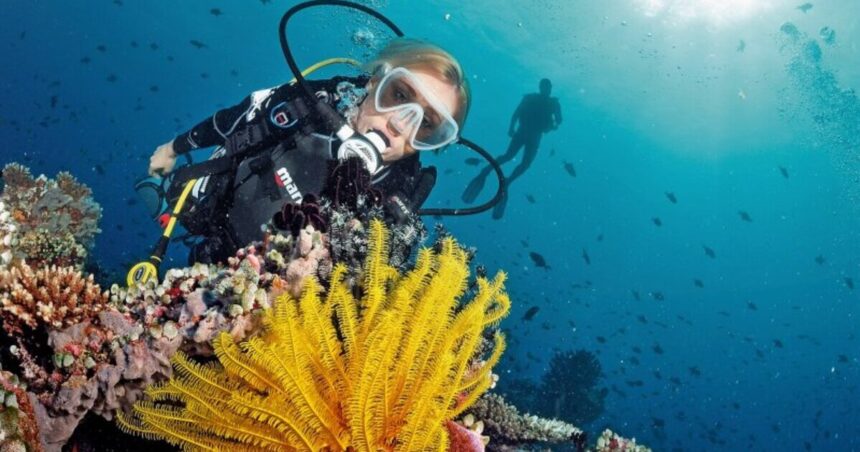 Anche il mare ha un battito: i ricercatori lo studiano per salvare gli ecosistemi marini 1 battito mare