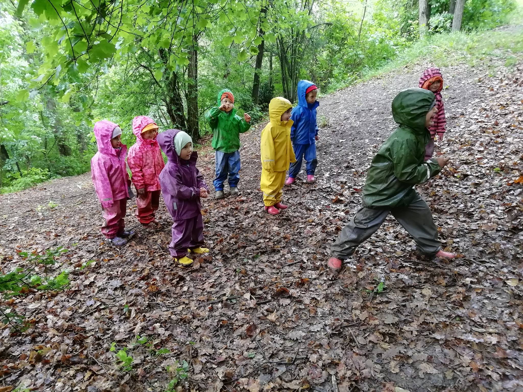 L'asilo nel bosco: a Pianoro i bambini imparano giocando all'aria aperta - il Digitale