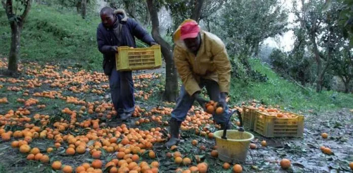 lavoro in nero