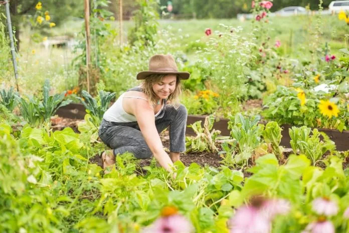 antidepressivi naturali